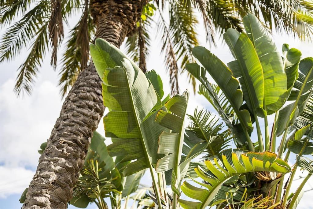 Bay Breeze Aparthotel South Bradenton Bagian luar foto